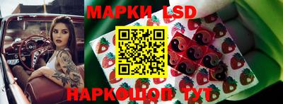 трава Владимир